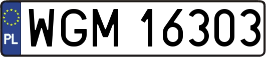 WGM16303