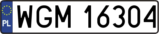 WGM16304