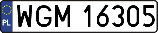WGM16305