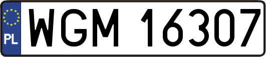 WGM16307
