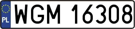 WGM16308