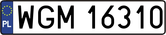 WGM16310