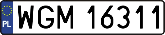 WGM16311