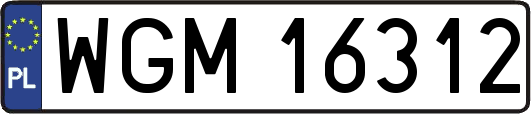 WGM16312