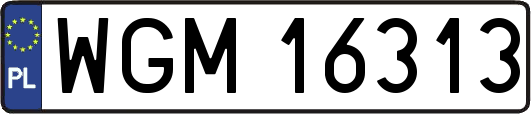 WGM16313