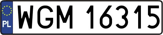 WGM16315