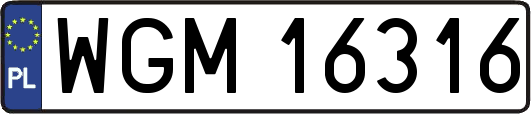 WGM16316