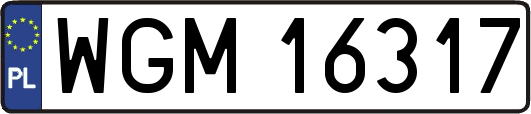 WGM16317