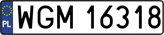 WGM16318