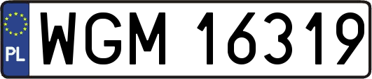WGM16319