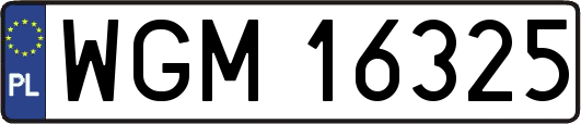 WGM16325