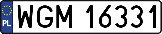 WGM16331