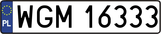 WGM16333