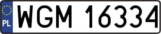 WGM16334