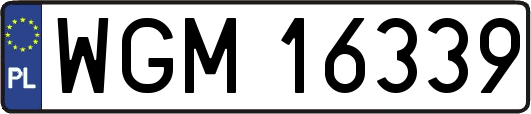 WGM16339