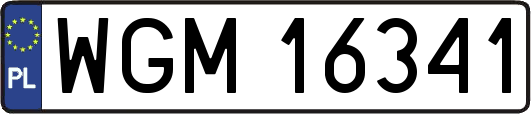 WGM16341