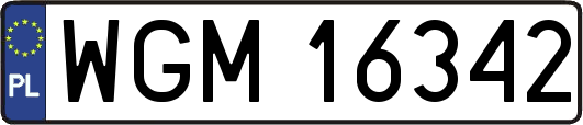 WGM16342