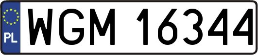 WGM16344