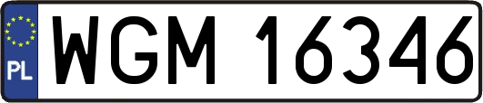 WGM16346