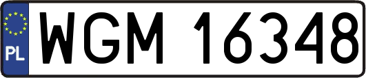 WGM16348