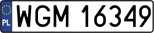 WGM16349