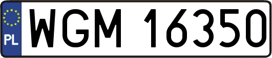WGM16350