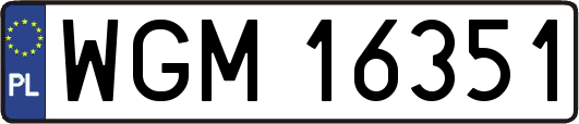 WGM16351