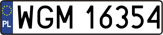 WGM16354