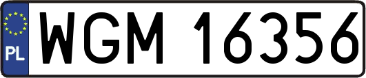 WGM16356