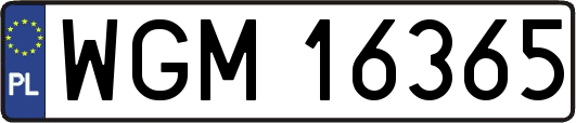 WGM16365