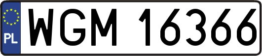 WGM16366