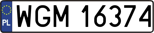 WGM16374