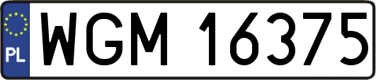 WGM16375