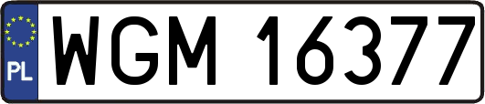 WGM16377