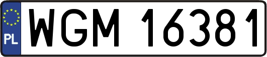 WGM16381