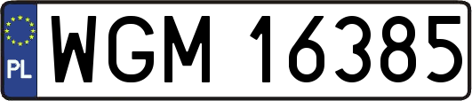WGM16385