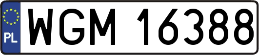 WGM16388