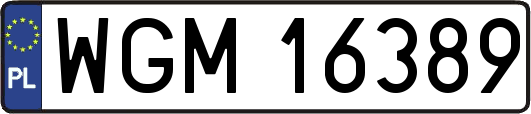 WGM16389