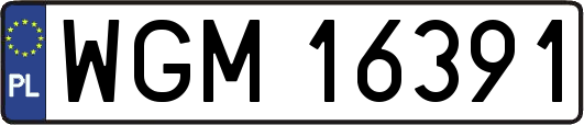 WGM16391