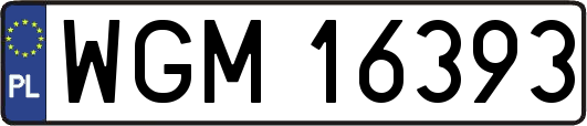 WGM16393