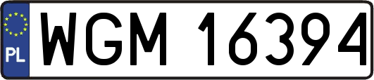 WGM16394