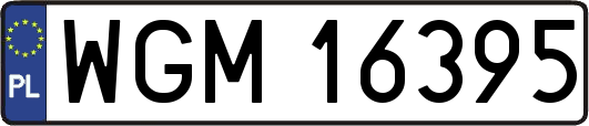 WGM16395