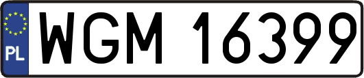 WGM16399