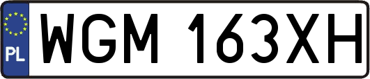 WGM163XH