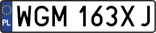 WGM163XJ