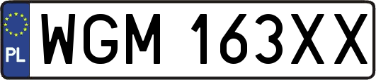 WGM163XX