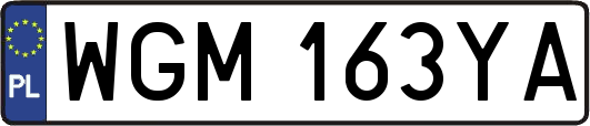 WGM163YA