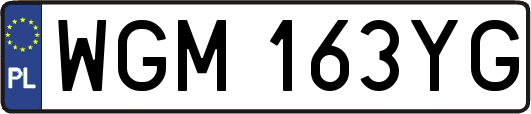 WGM163YG