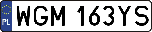 WGM163YS