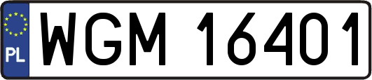 WGM16401